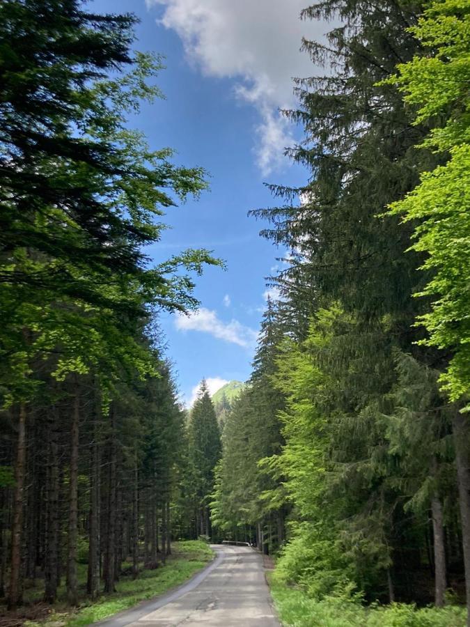 Appartamento Val Di Luce Relax Cristallo Abetone Exterior foto